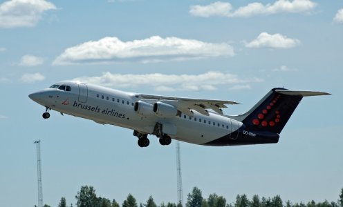 fly 054.jpg