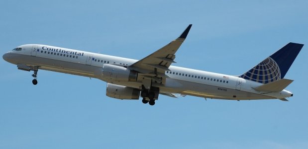 fly 064.jpg