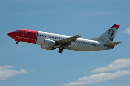 fly 073.jpg