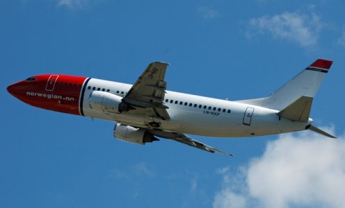 fly 134.jpg