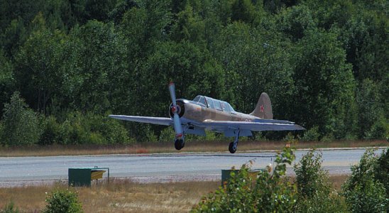 SE-LLY003.jpg