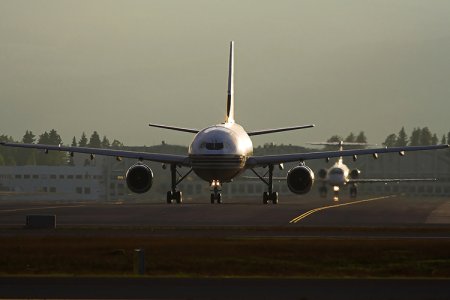 OO_DLG_351401r10.jpg