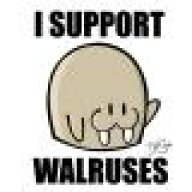 teamseacow