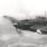 IL-2