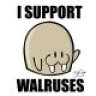 teamseacow