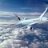 AirCanada