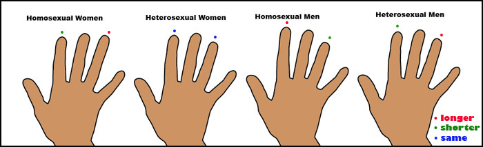 homohands.jpg