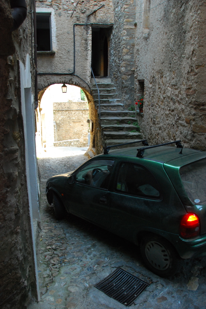 DSC_3773.JPG