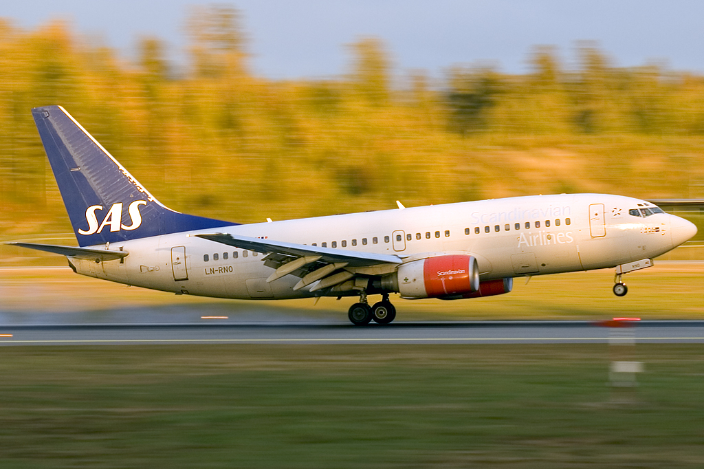 1437341316_678faa6536_o.jpg