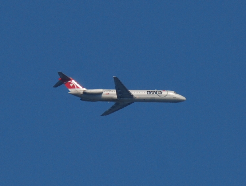 DSC_2198.JPG