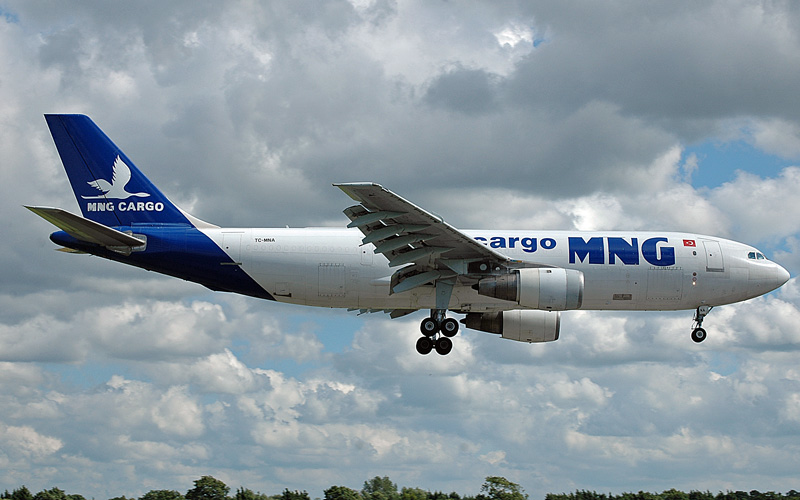 fly-296.jpg