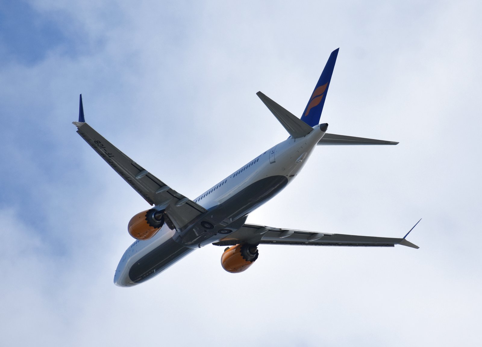 pae06.jpg