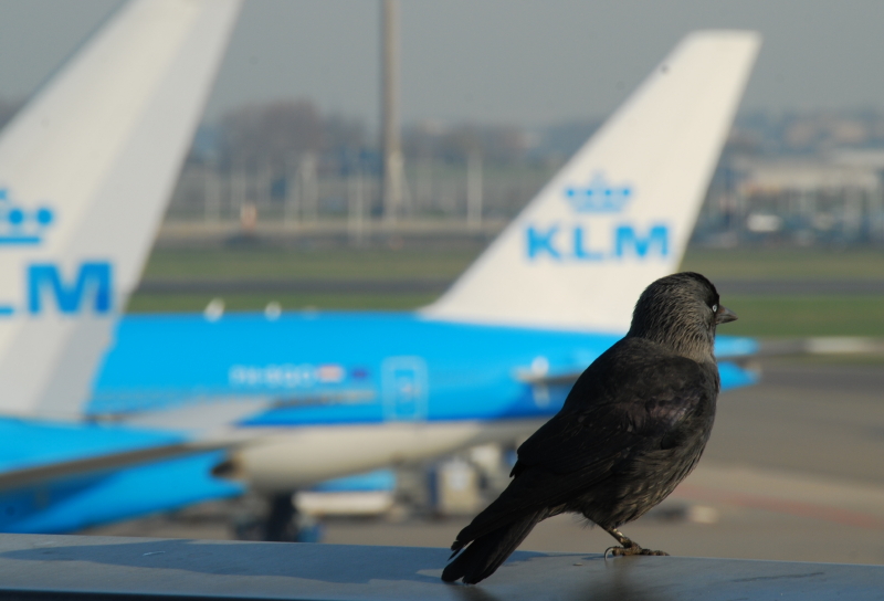 DSC_0802.JPG
