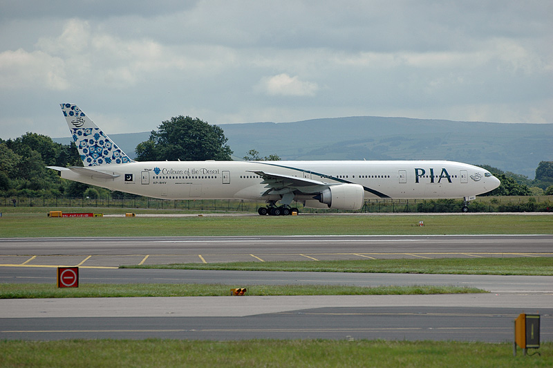 fly-003.jpg
