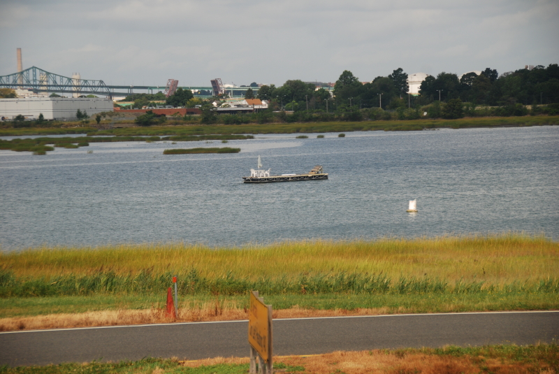 DSC_4846.JPG