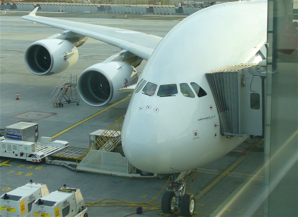 fly03.jpg