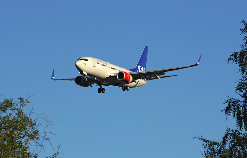 p288772356.jpg