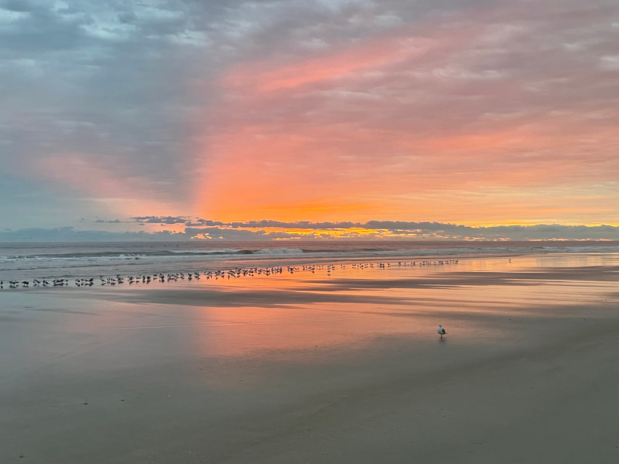 10-Daytona-Sunrise2.jpg