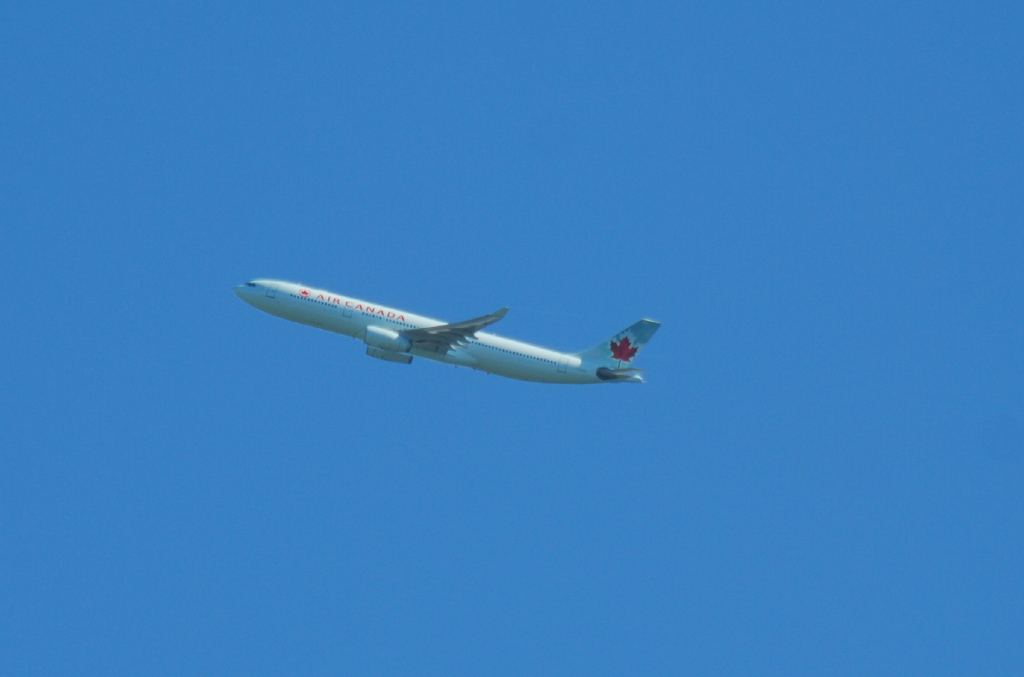 DSC_4000.JPG