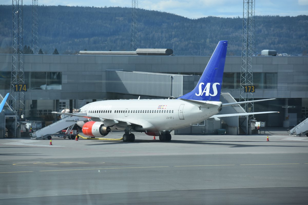LN-RPJ.jpg