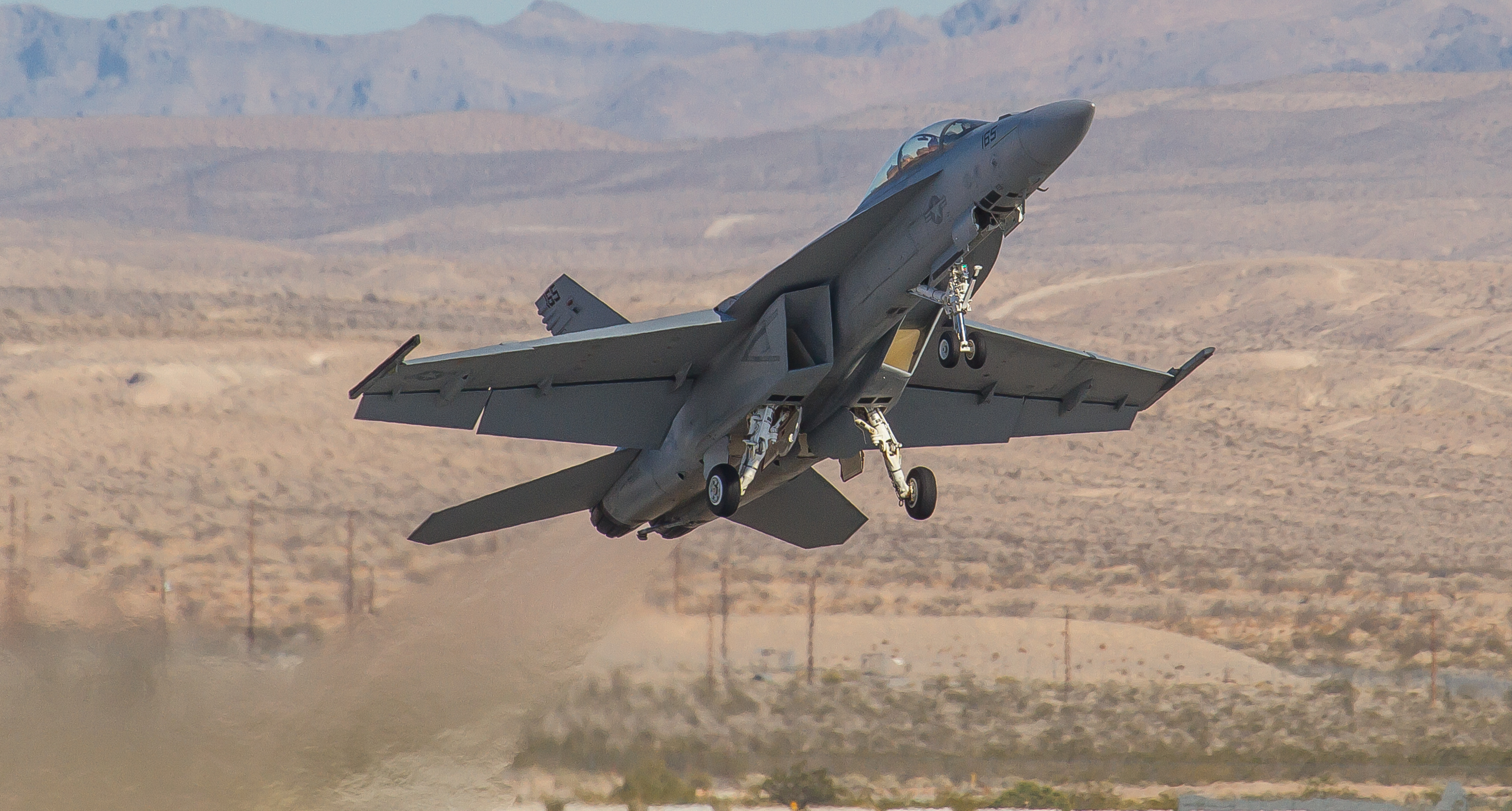 nellis85.jpg