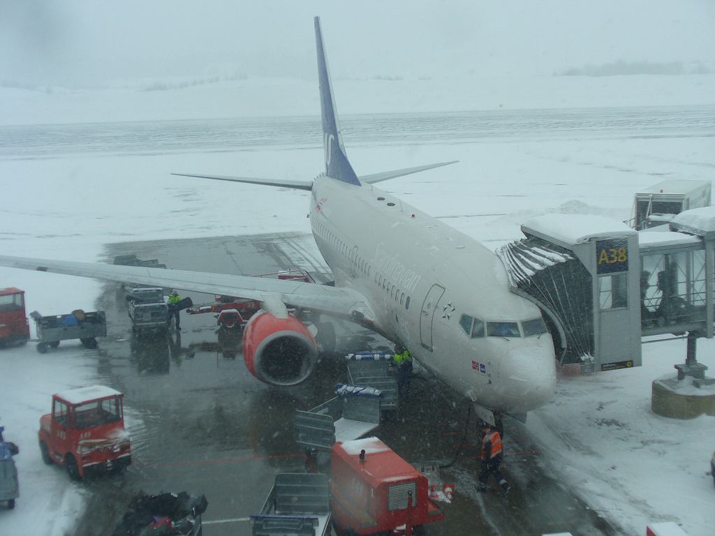 fly04.jpg
