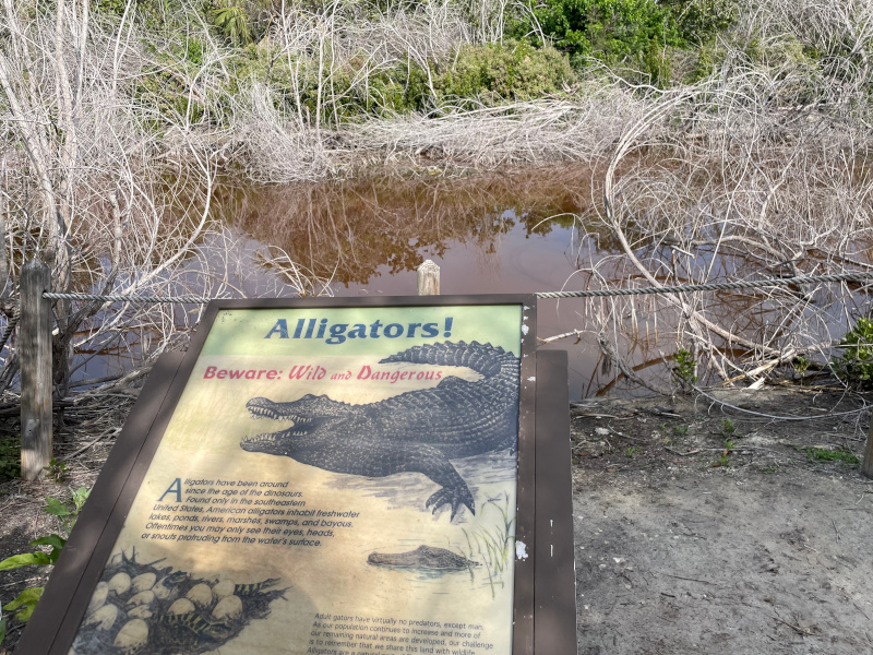 14-Fort-Myers-Beach2.jpg
