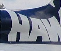 b06.jpg