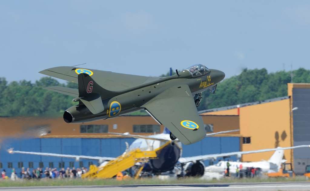 dsc1168d.jpg