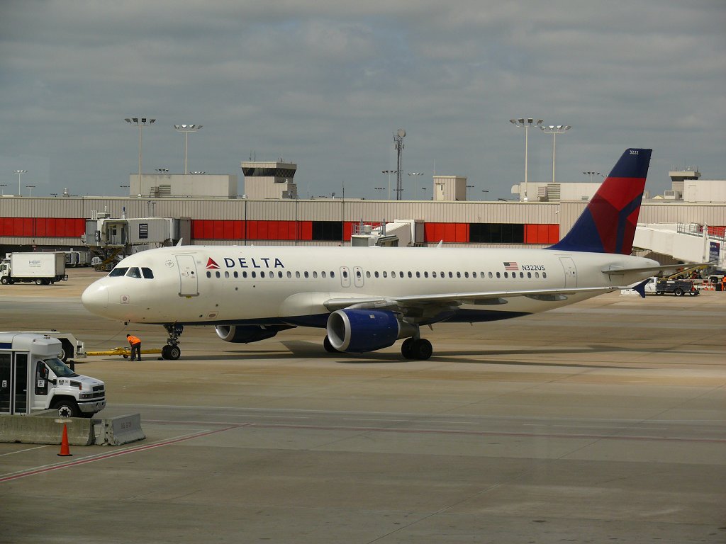 fly03.jpg