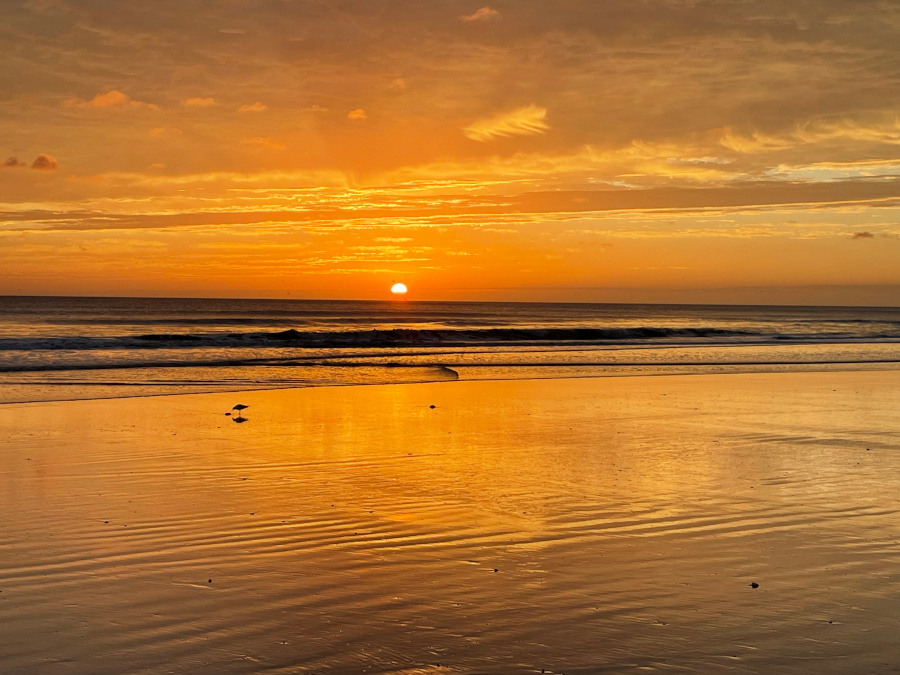 07-Daytona-Sunrise.jpg