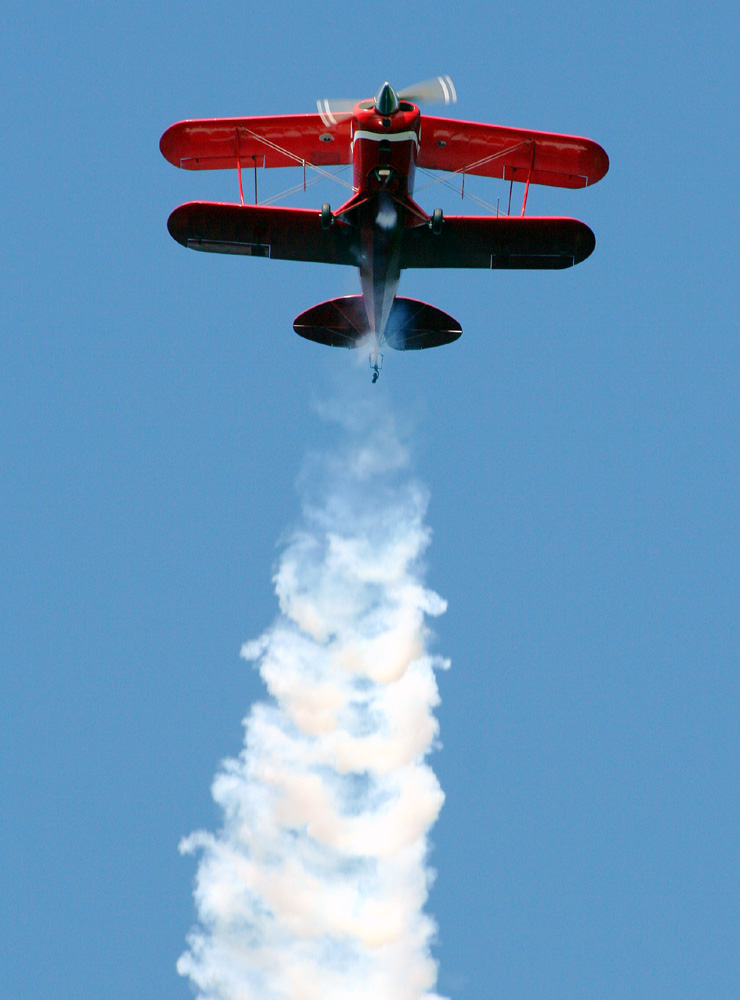 baldersnas-11-740.jpg
