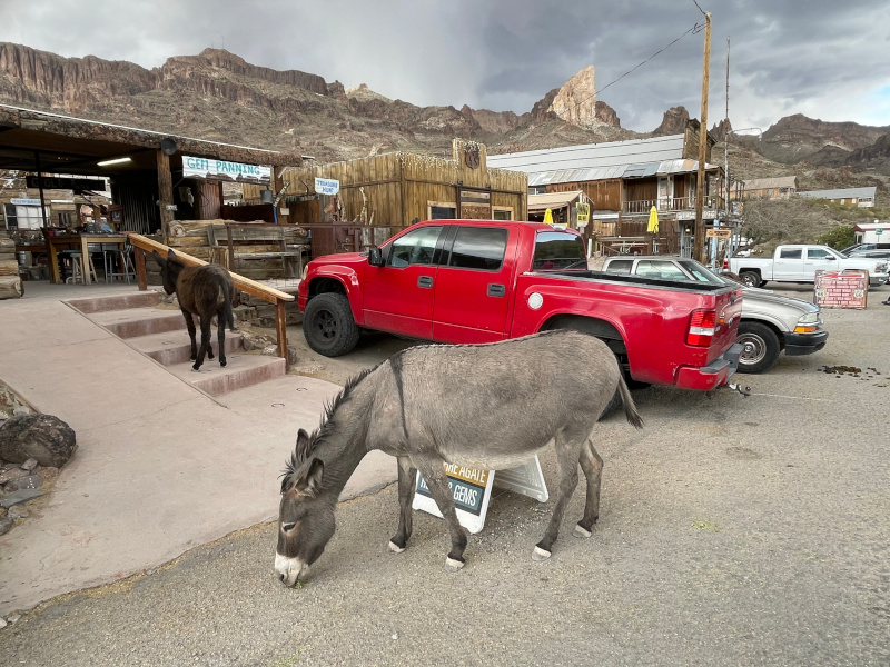10-Oatman1.jpg