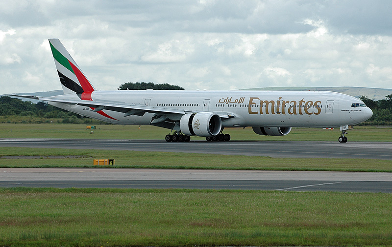 fly-070.jpg