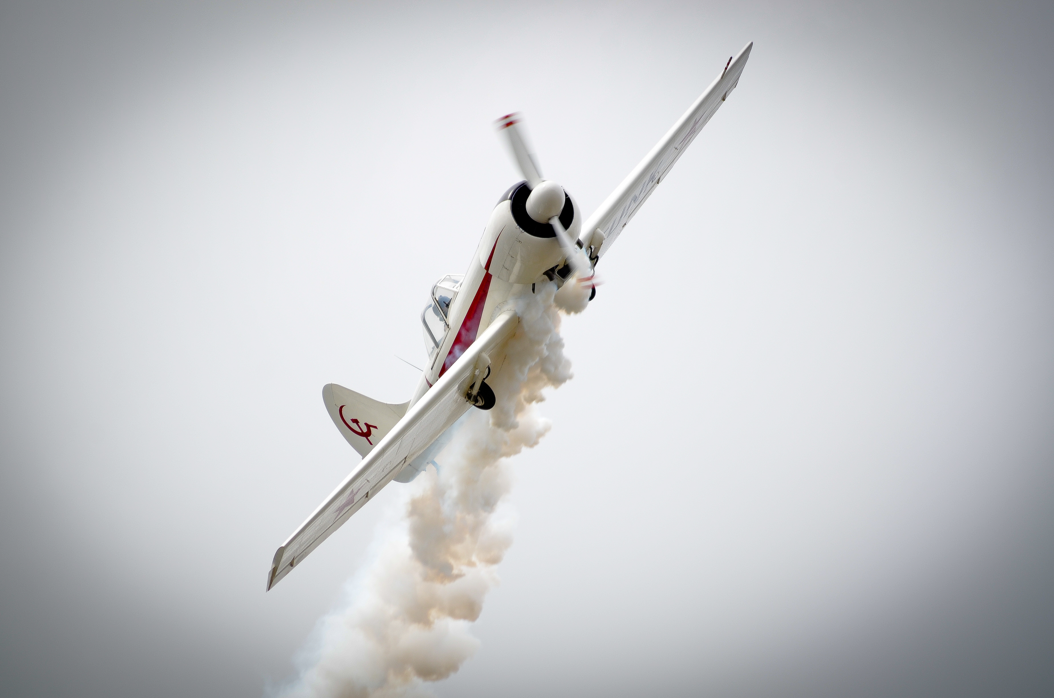 dsc_9208.jpg