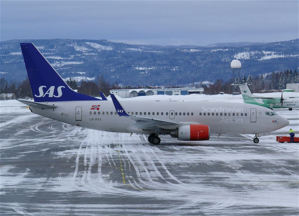 fly05.jpg
