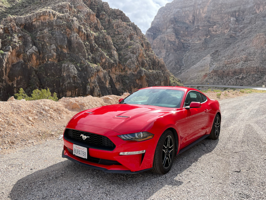 09-Mustang.jpg