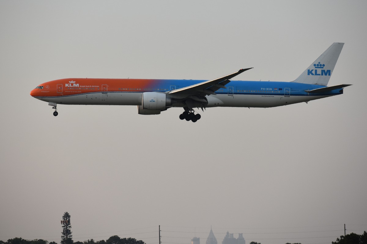 c1.jpg