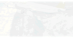main.gif