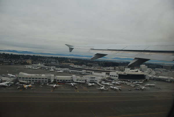 DSC_4615.JPG