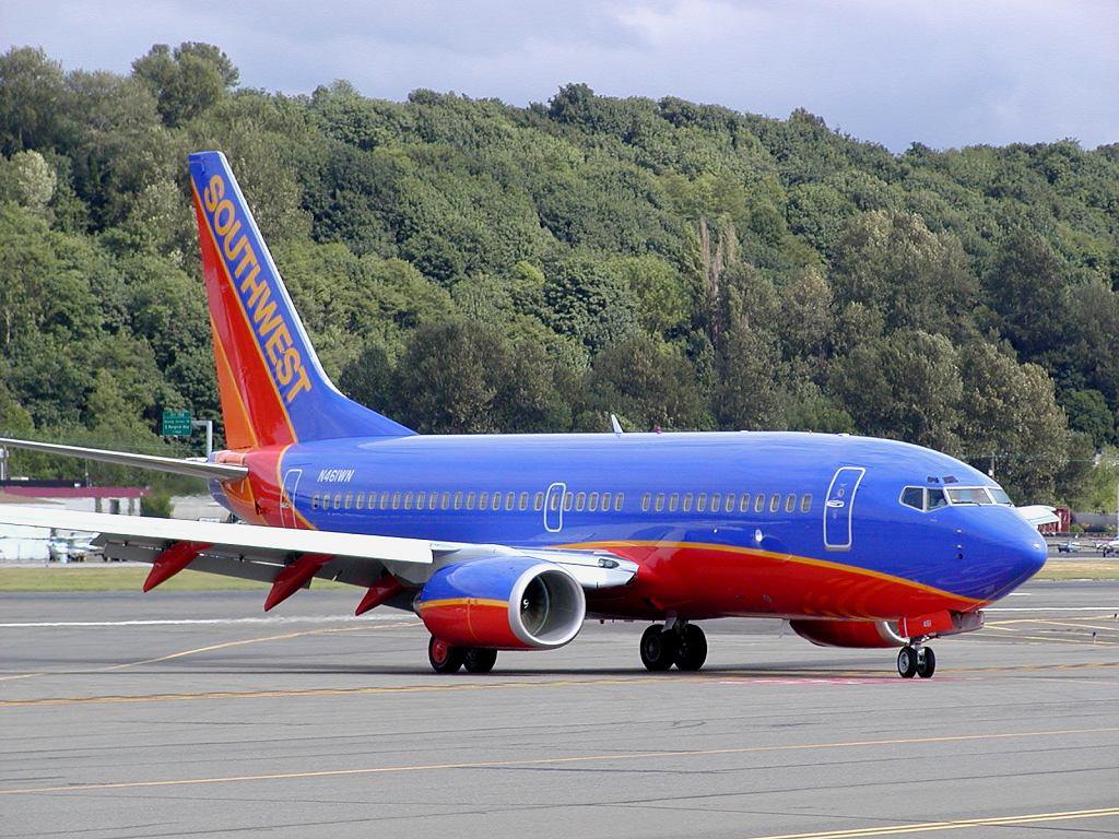 737.jpg
