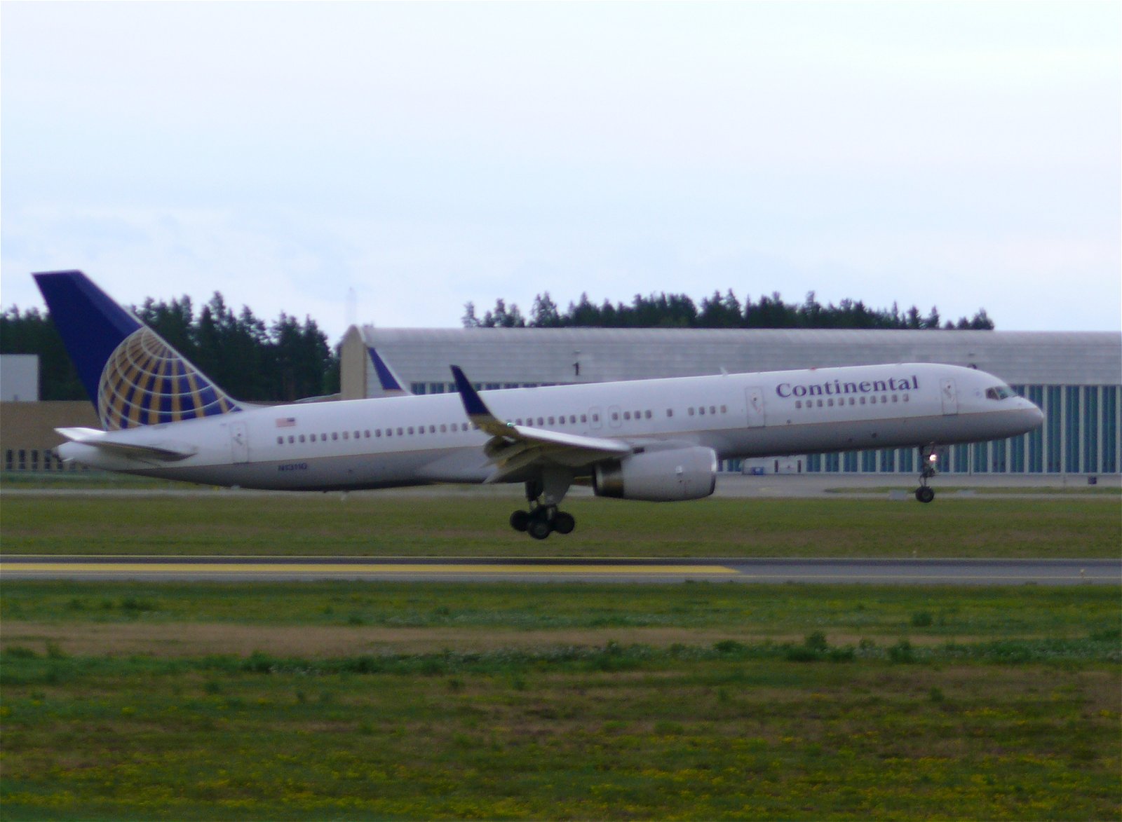 N13110.jpg