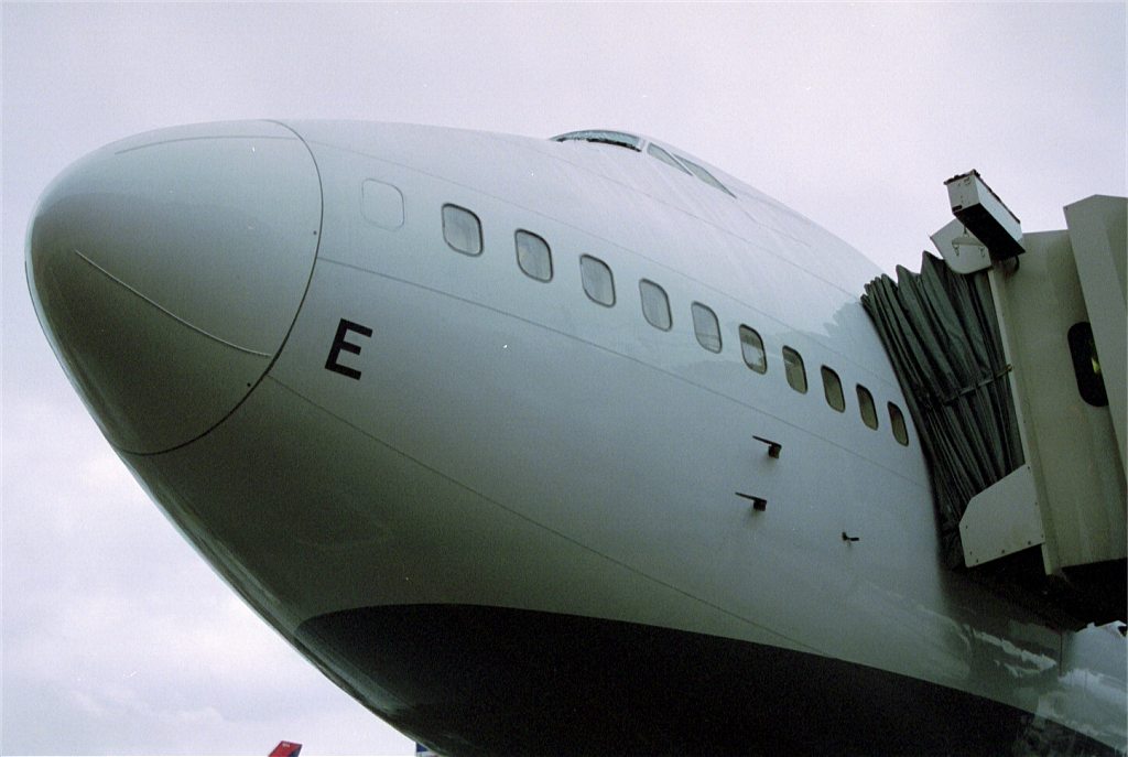 ige_nose.jpg