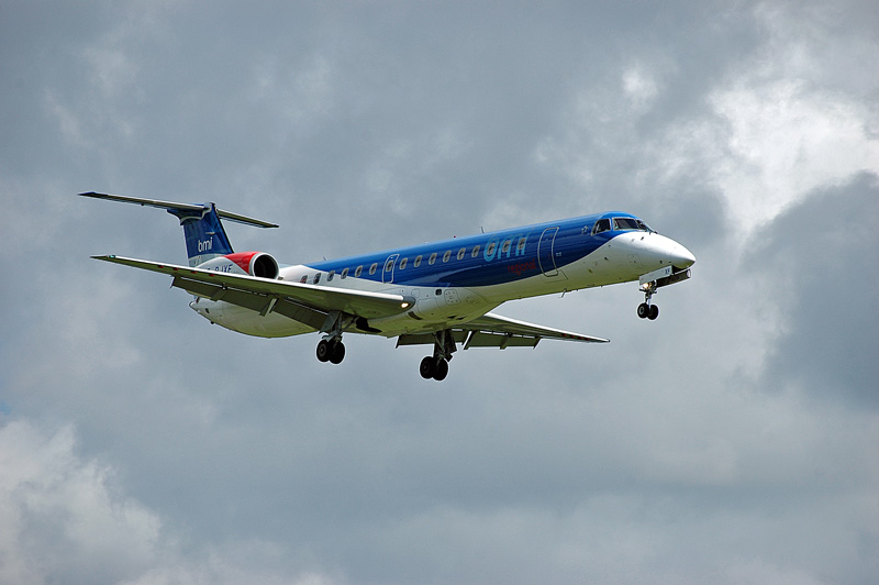 fly-206.jpg