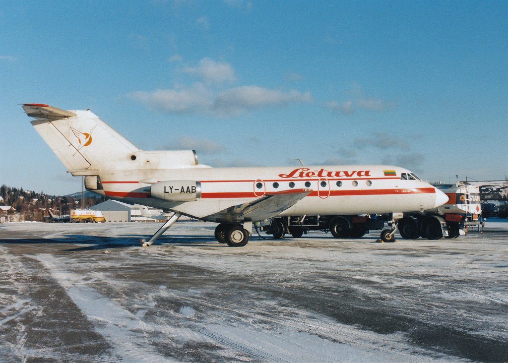 LY-AAB_2.jpg