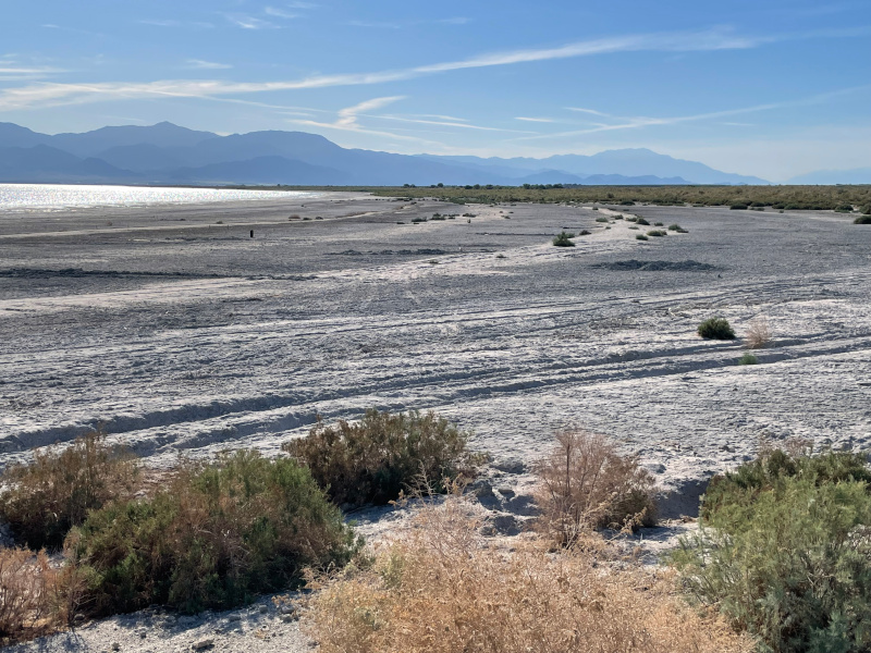 12-Salton3.jpg