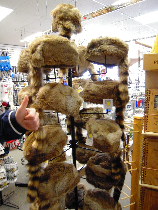 DSCN0102.JPG