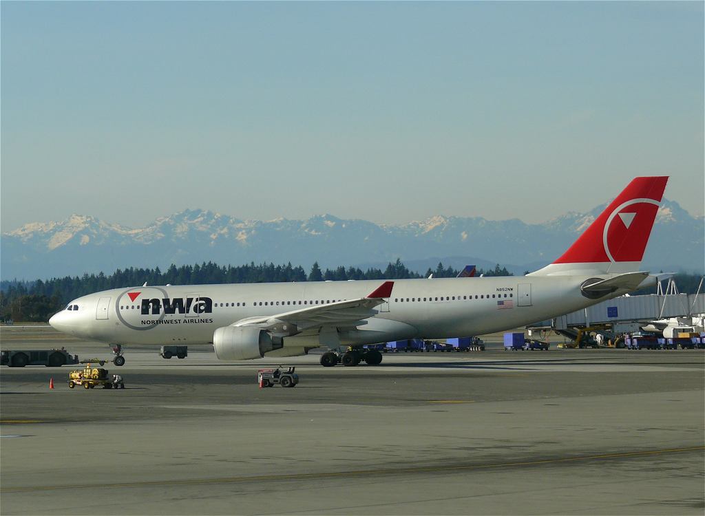 d12.jpg