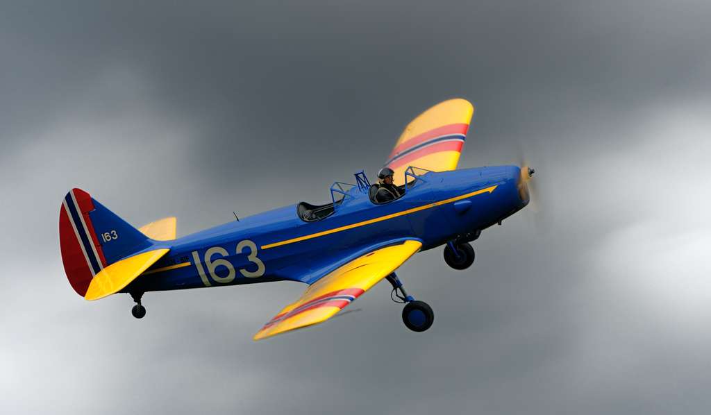 dsc8002x.jpg