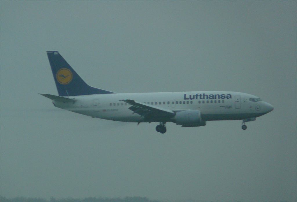 fra02.jpg